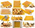 Poultry Egg Incubator
