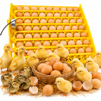 Chicken Egg Incubator
